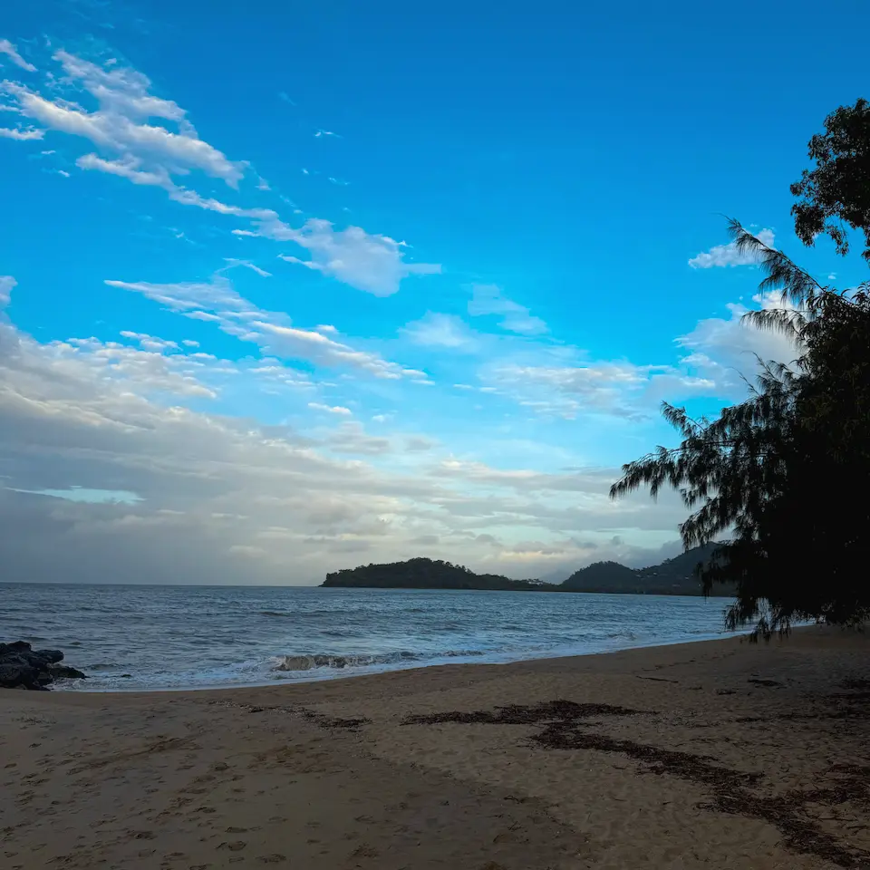 Kewarra Beach early in the morning: sand, a calm sea and a headland under a pale blue sky, with a casuarina at the water's edge